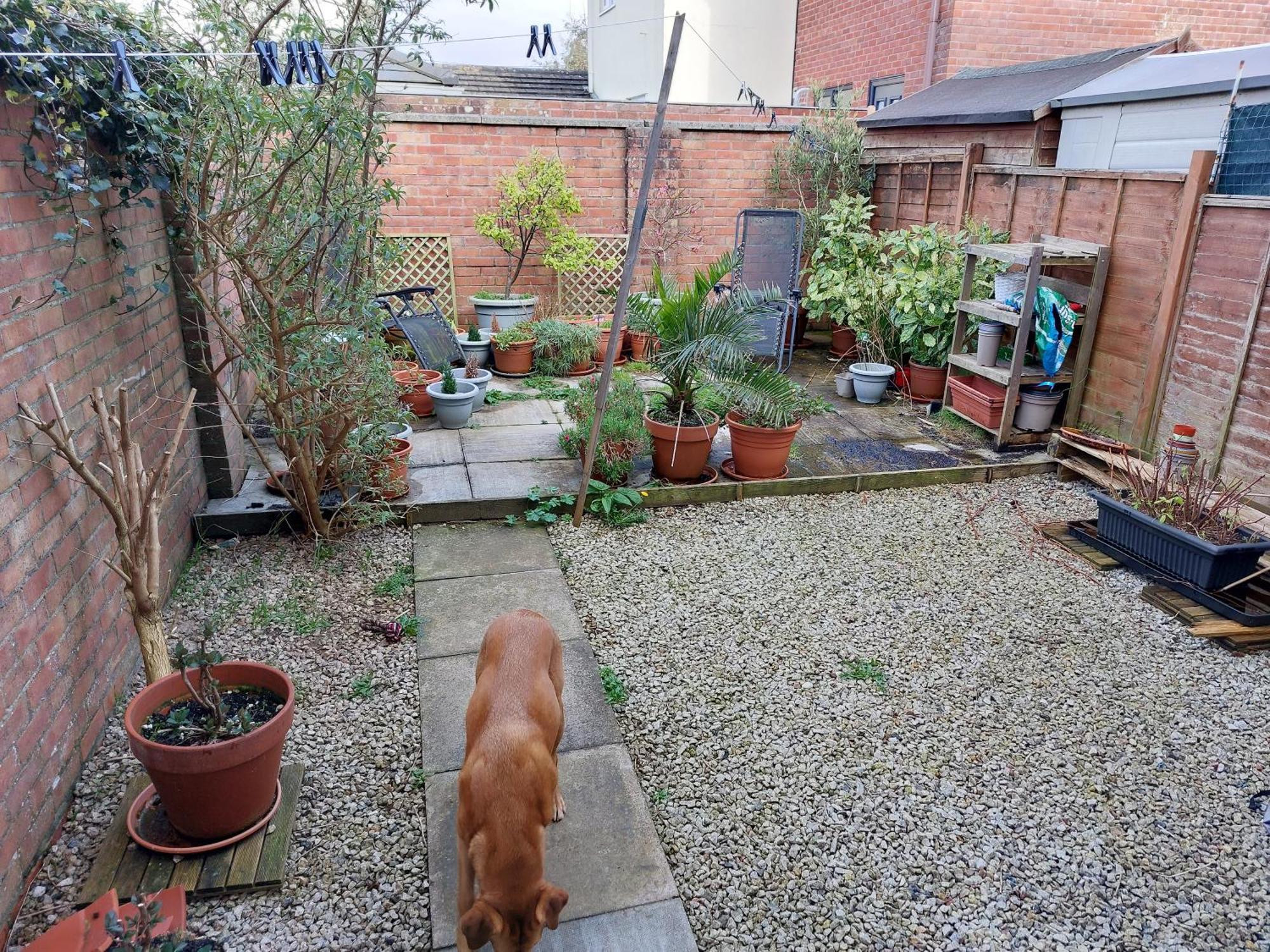Bude Homestay Stratton  Exterior photo